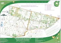 Parcours permanent de course d'orientation à Scaër, Forêt de Coat Loc'h, Quimperlé Communauté